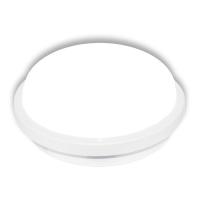 Настенно-потолочный светильник LEEK LE061100-0020