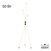 Торшер Citilux Lucia CL217961