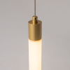 Подвесной светильник Maytoni Ray P022PL-L10MG3K