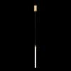 Подвесной светильник Maytoni Ray P022PL-L20G3K