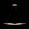 Подвесной светодиодный светильник Loft IT Ring 10014XL