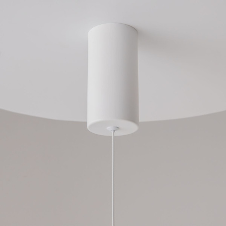 Подвесной светильник Maytoni Ray P022PL-L20W3K