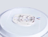 Светильник Ambrella Light ORBITAL FZ1720
