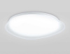 Люстра Ambrella Light ORBITAL FZ1605