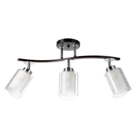 Спот Citilux Фортуна CL156132