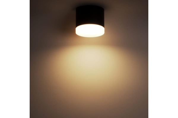 Накладной потолочный светильник Ritter Arton 59947 0