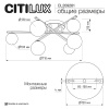 Потолочная люстра Citilux Glob CL209261