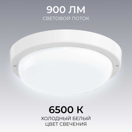 Светильник светодиодный герметичный OGM О28-06